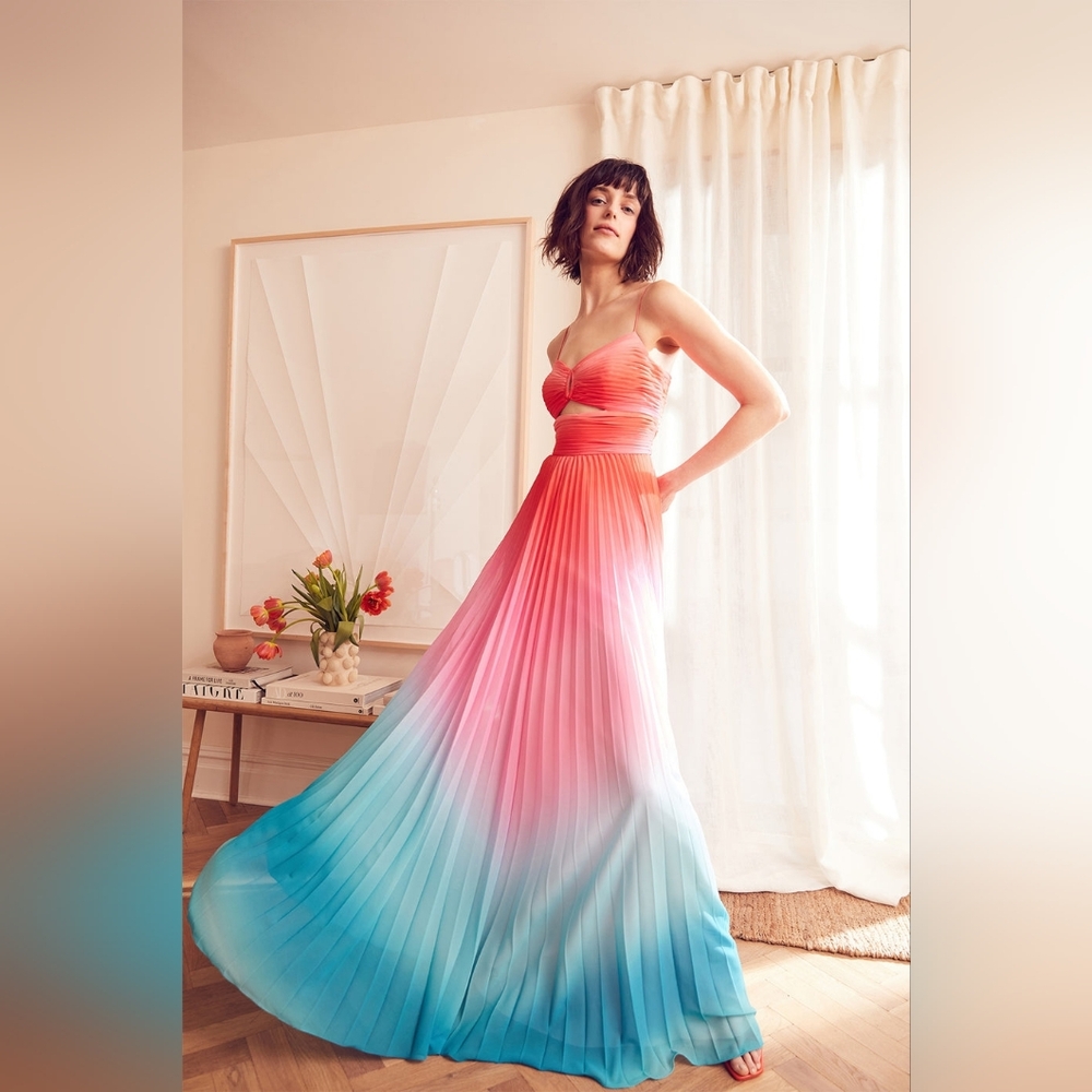 Amur Ombre Emmett Pleated Gown Dress